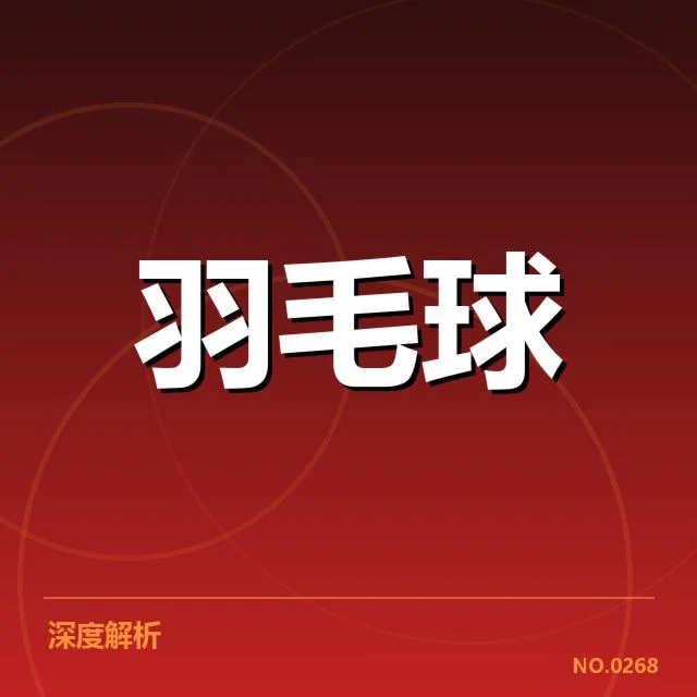 国际羽联已确认的判罚事实细节